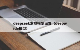 deepseek本地模型设置（deepwide模型）