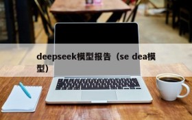 deepseek模型报告（se dea模型）