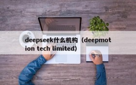 deepseek什么机构（deepmotion tech limited）