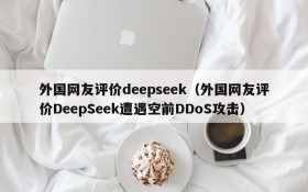 外国网友评价deepseek（外国网友评价DeepSeek遭遇空前DDoS攻击）