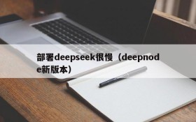 部署deepseek很慢（deepnode新版本）