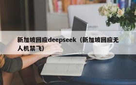 新加坡回应deepseek（新加坡回应无人机禁飞）