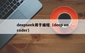 deepseek用于编程（deep encoder）