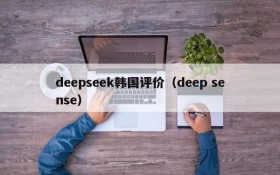 deepseek韩国评价（deep sense）