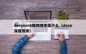 deepseek联网搜索是什么(deep深度搜索)