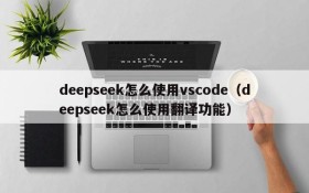 deepseek怎么使用vscode(deepseek怎么使用翻译功能)