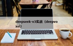 deepseek-v3实战(deepvoxel)
