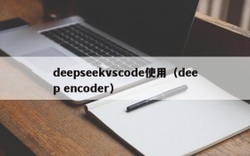 deepseekvscode使用(deep encoder)