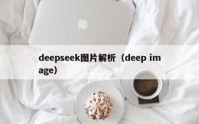 deepseek图片解析(deep image)