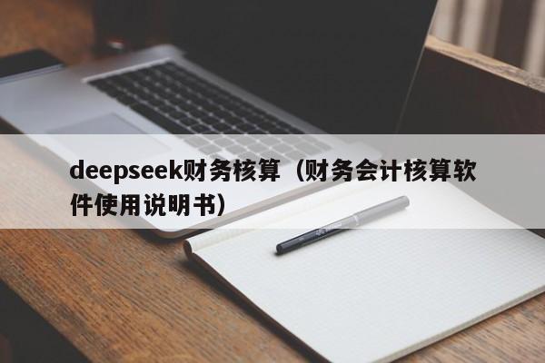 deepseek财务核算（财务会计核算软件使用说明书）