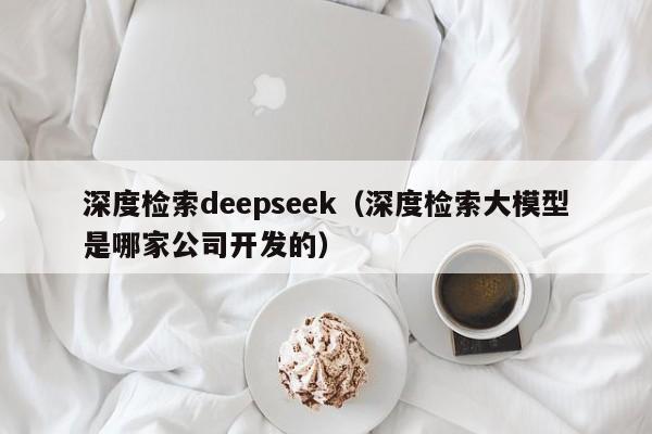 深度检索deepseek（深度检索大模型是哪家公司开发的）