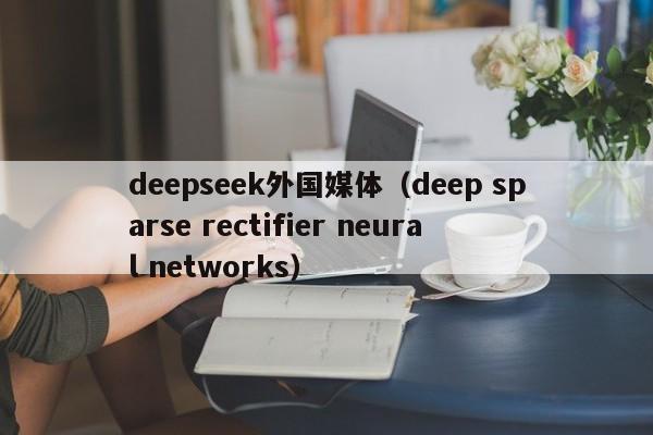 deepseek外国媒体（deep sparse rectifier neural networks）