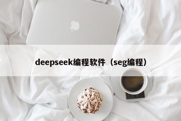 deepseek编程软件（seg编程）