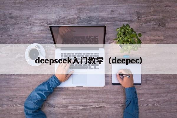 deepseek入门教学（deepec）