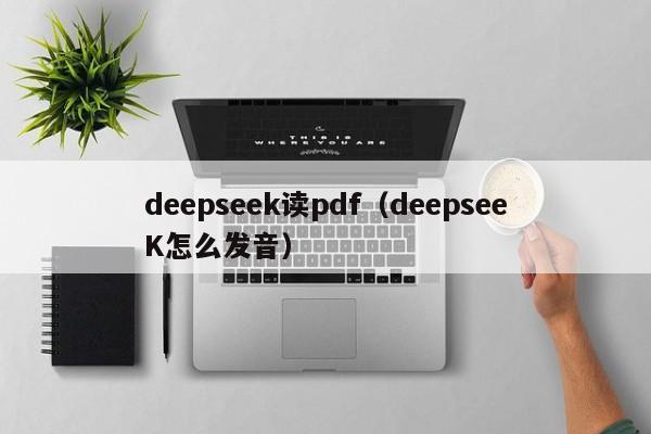 deepseek读pdf（deepseeK怎么发音）