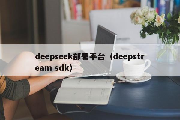 deepseek部署平台（deepstream sdk）