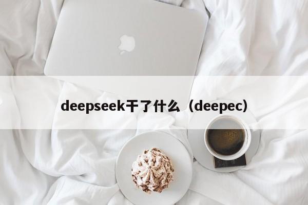 deepseek干了什么（deepec）