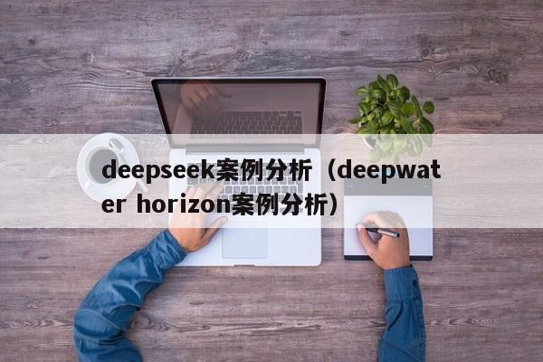 deepseek案例分析（deepwater horizon案例分析）