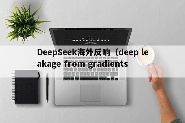 DeepSeek海外反响（deep leakage from gradients）