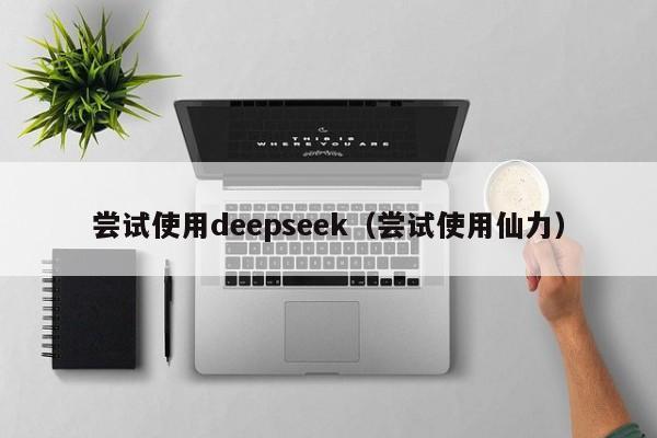 尝试使用deepseek（尝试使用仙力）