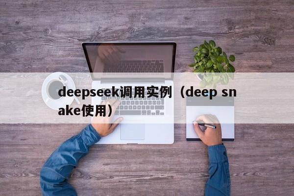 deepseek调用实例（deep snake使用）