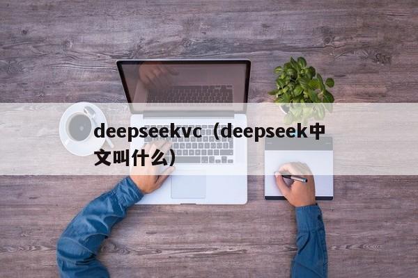 deepseekvc（deepseek中文叫什么）