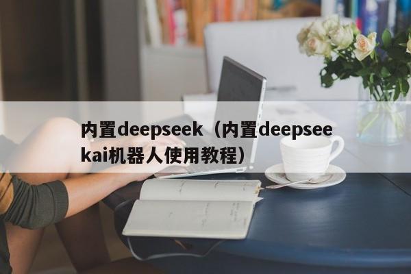 内置deepseek（内置deepseekai机器人使用教程）