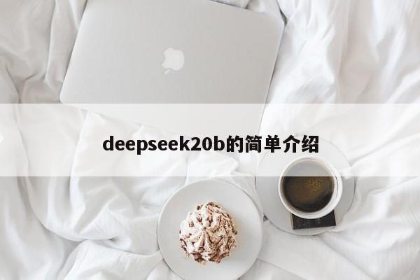 deepseek20b的简单介绍