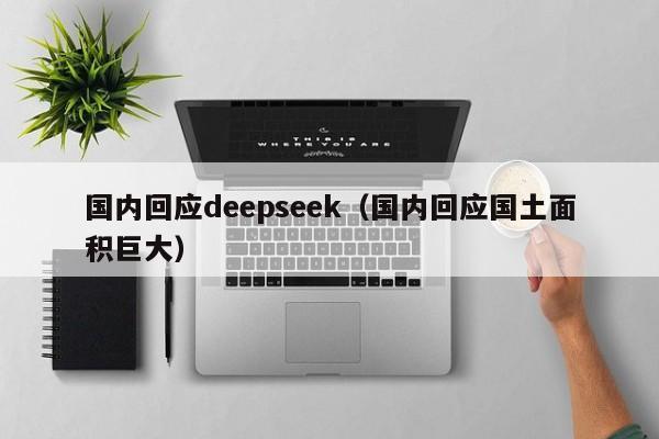 国内回应deepseek（国内回应国土面积巨大）