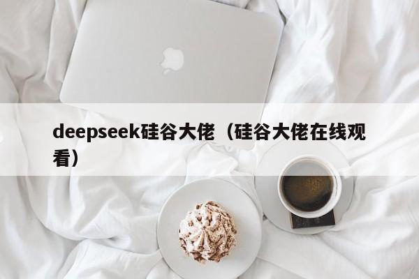 deepseek硅谷大佬（硅谷大佬在线观看）