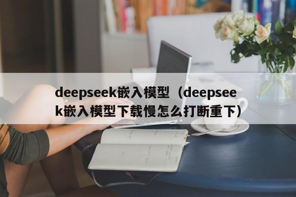 deepseek嵌入模型（deepseek嵌入模型下载慢怎么打断重下）