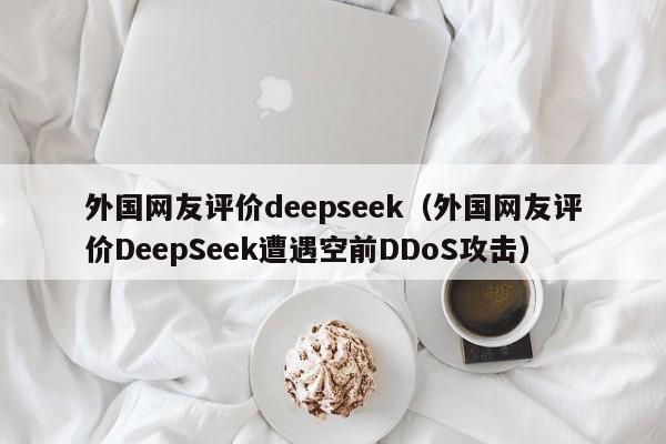 外国网友评价deepseek（外国网友评价DeepSeek遭遇空前DDoS攻击）