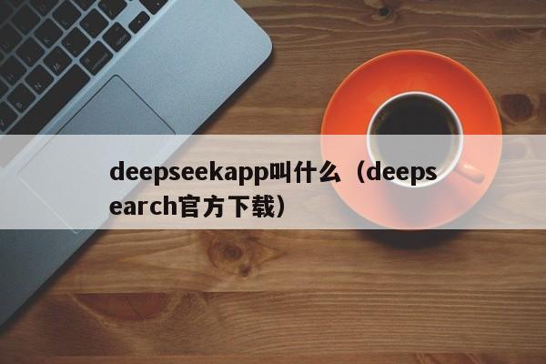 deepseekapp叫什么（deepsearch官方下载）