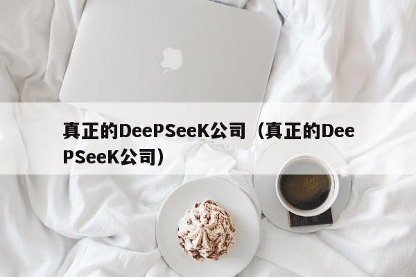 真正的DeePSeeK公司（真正的DeePSeeK公司）