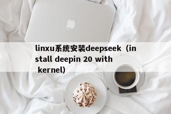 linxu系统安装deepseek（install deepin 20 with kernel）