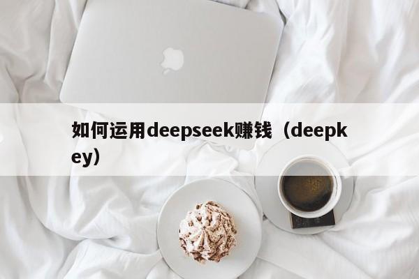 如何运用deepseek赚钱（deepkey）