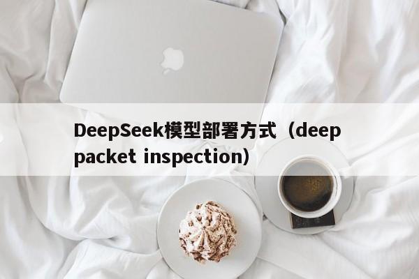 DeepSeek模型部署方式（deep packet inspection）