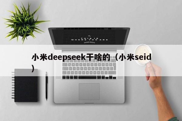 小米deepseek干啥的（小米seid）