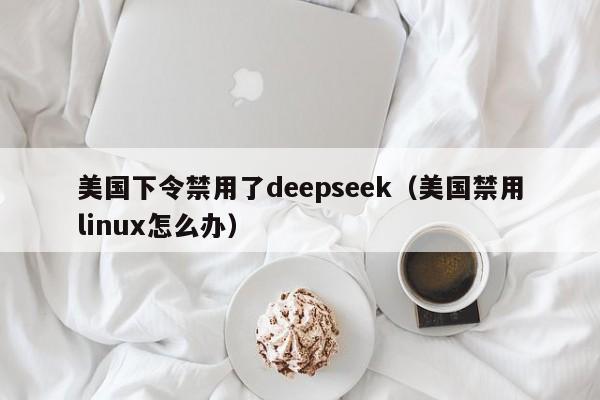 美国下令禁用了deepseek（美国禁用linux怎么办）