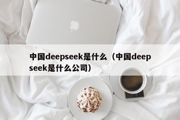 中国deepseek是什么（中国deepseek是什么公司）