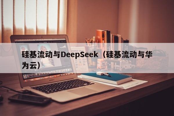 硅基流动与DeepSeek（硅基流动与华为云）