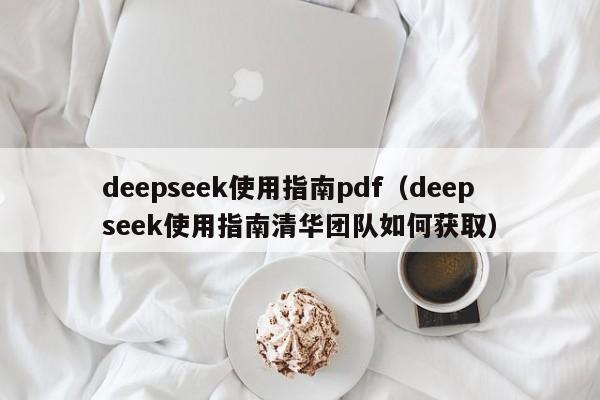 deepseek使用指南pdf（deepseek使用指南清华团队如何获取）