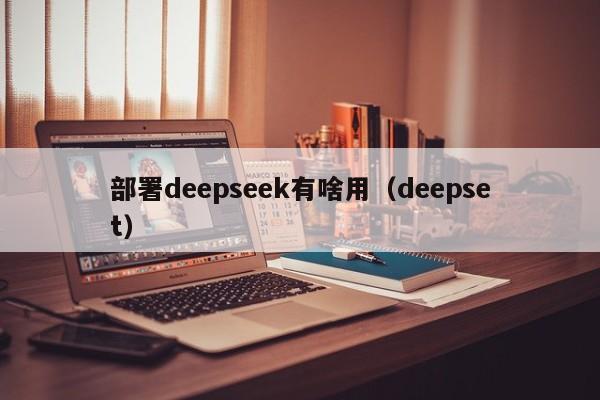 部署deepseek有啥用（deepset）