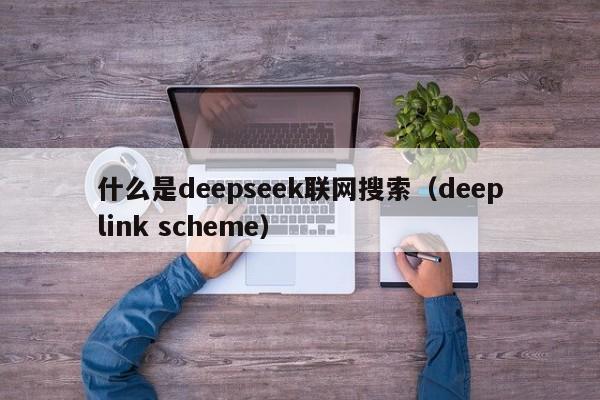 什么是deepseek联网搜索（deeplink scheme）