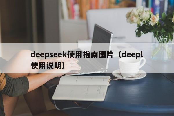 deepseek使用指南图片（deepl使用说明）