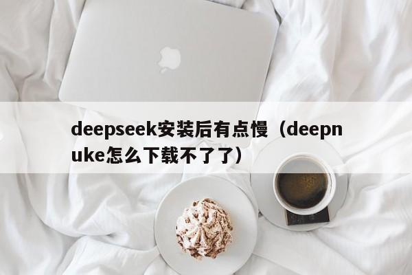 deepseek安装后有点慢（deepnuke怎么下载不了了）