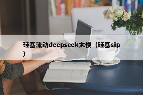硅基流动deepseek太慢(硅基sip)