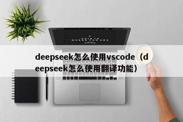 deepseek怎么使用vscode（deepseek怎么使用翻译功能）