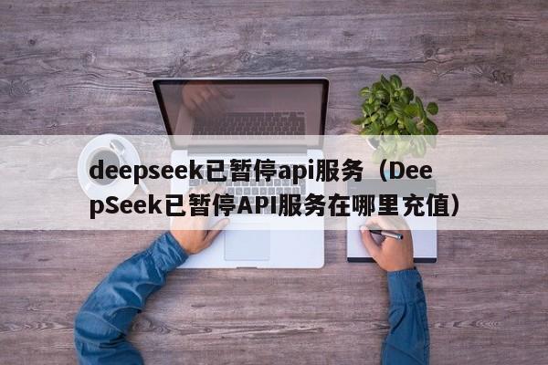 deepseek已暂停api服务（DeepSeek已暂停API服务在哪里充值）