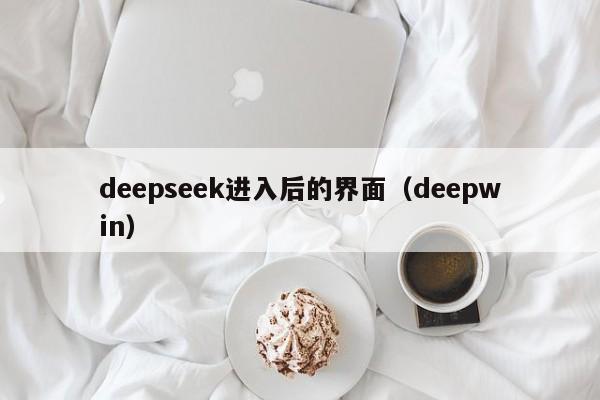 deepseek进入后的界面（deepwin）